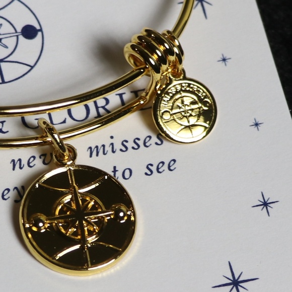 HALOS & GLORIES Compass LOGO - Picture 4 of 6